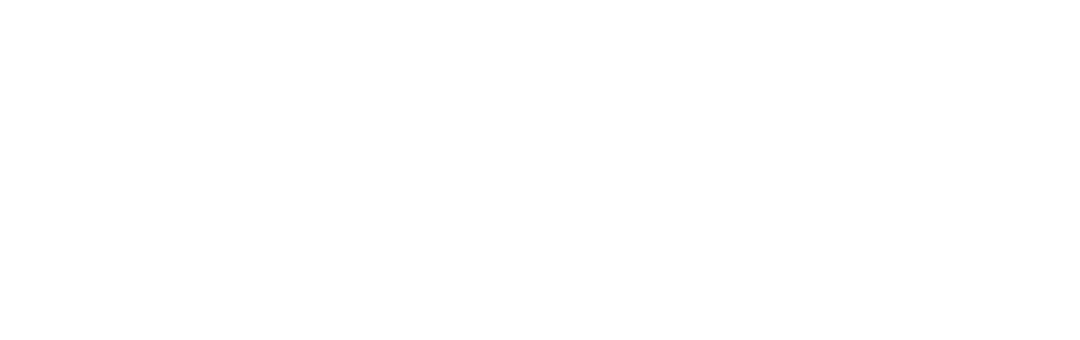 schema coaching